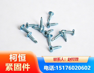 乐山华司钻尾丝