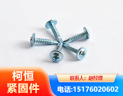 乐山华司钻尾丝