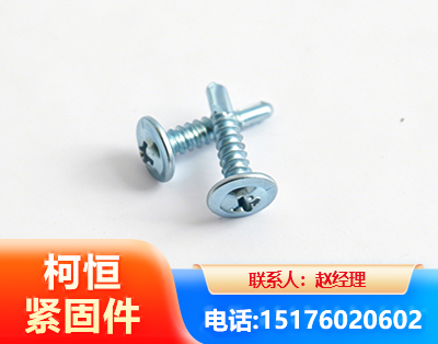 乐山华司钻尾丝